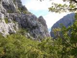 DSCN0174